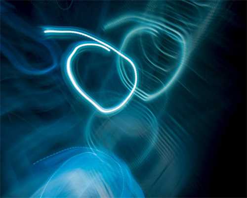 外国网红看海南｜黑神话火了以后 老外跑来南湾猴岛寻猴王啦