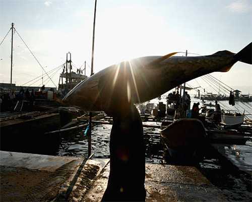 宁马青年相聚青创会客厅