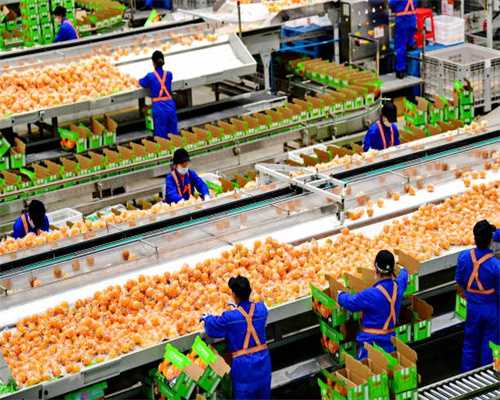 日照：坚持港产城海融合发展 加快打造向海图强的蓝色之城