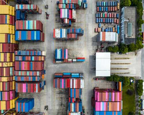 养盆栽植物多久换盆换土一次？换盆有啥讲究？一次性说完